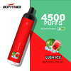 Pod de vaporisateur OEM Cigarette 5000Puffs Vape en gros